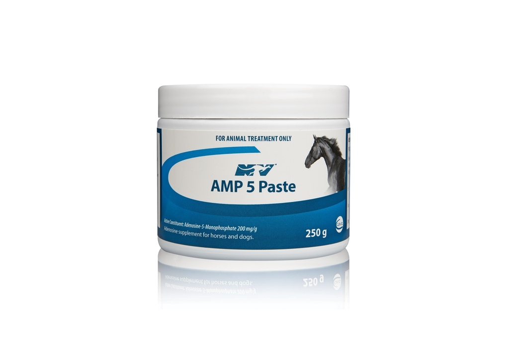 CEVA AMP 5 PASTE 250G