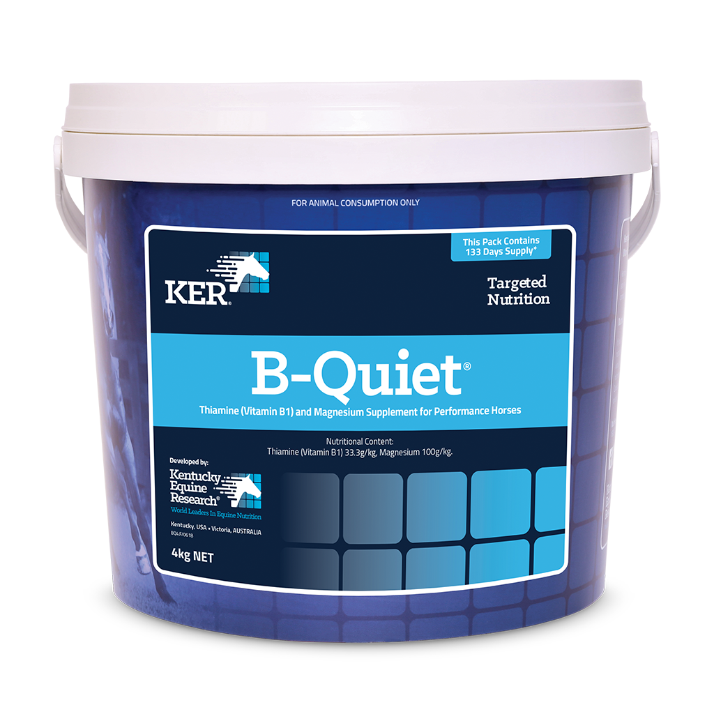 B-QUIET 4KG