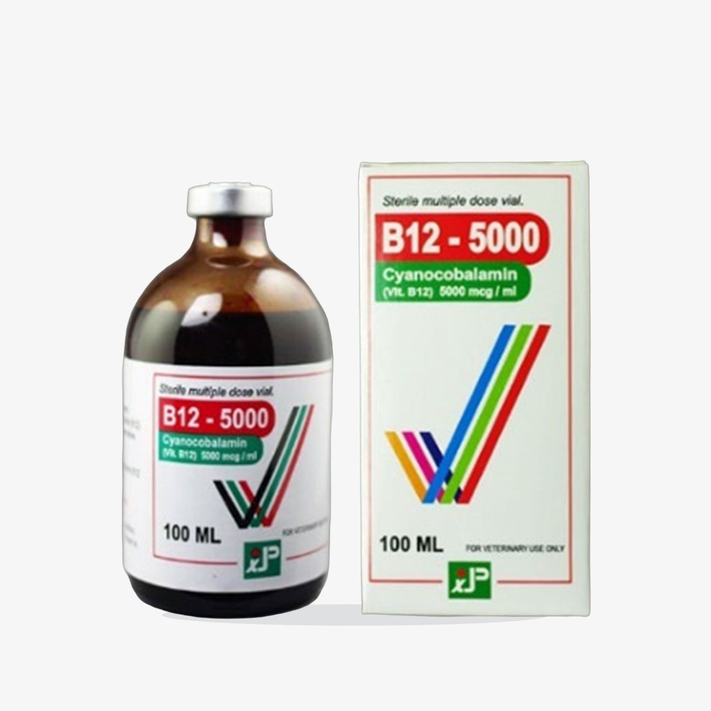 B12-5000 INJ