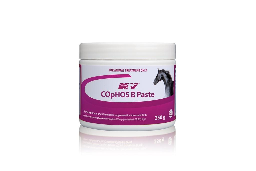 CEVA COPHOS B PASTE 250G
