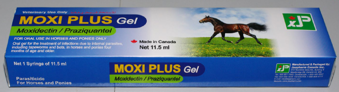 MOXI PLUS PASTE 11.5ML
