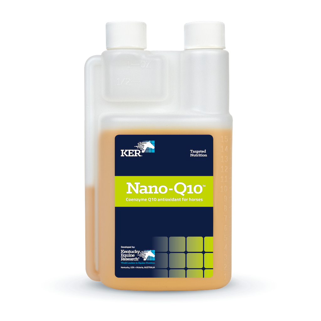 NANO Q10 (450ML)