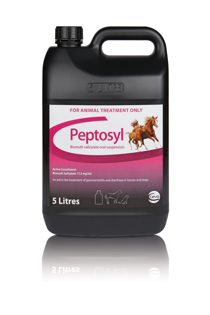 CEVA PEPTOSYL LIQUID 5L