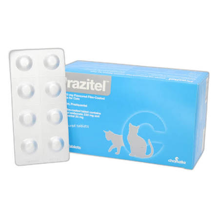 PRAZIVET TAB 10'S CAT