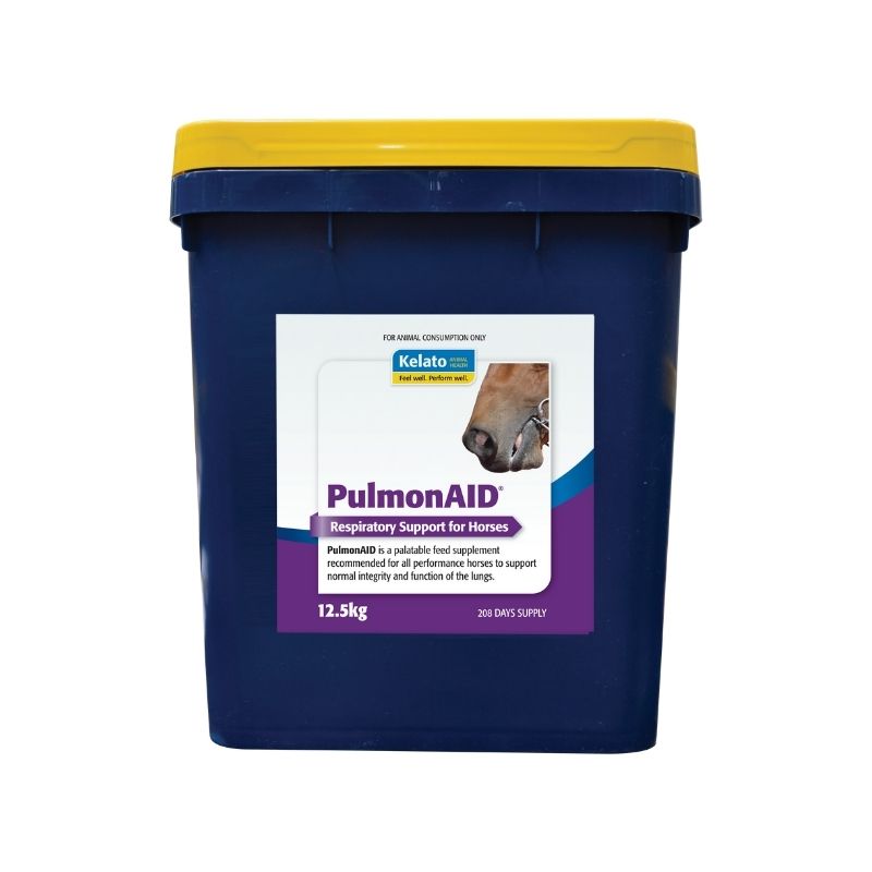PulmonAID 12.5KG