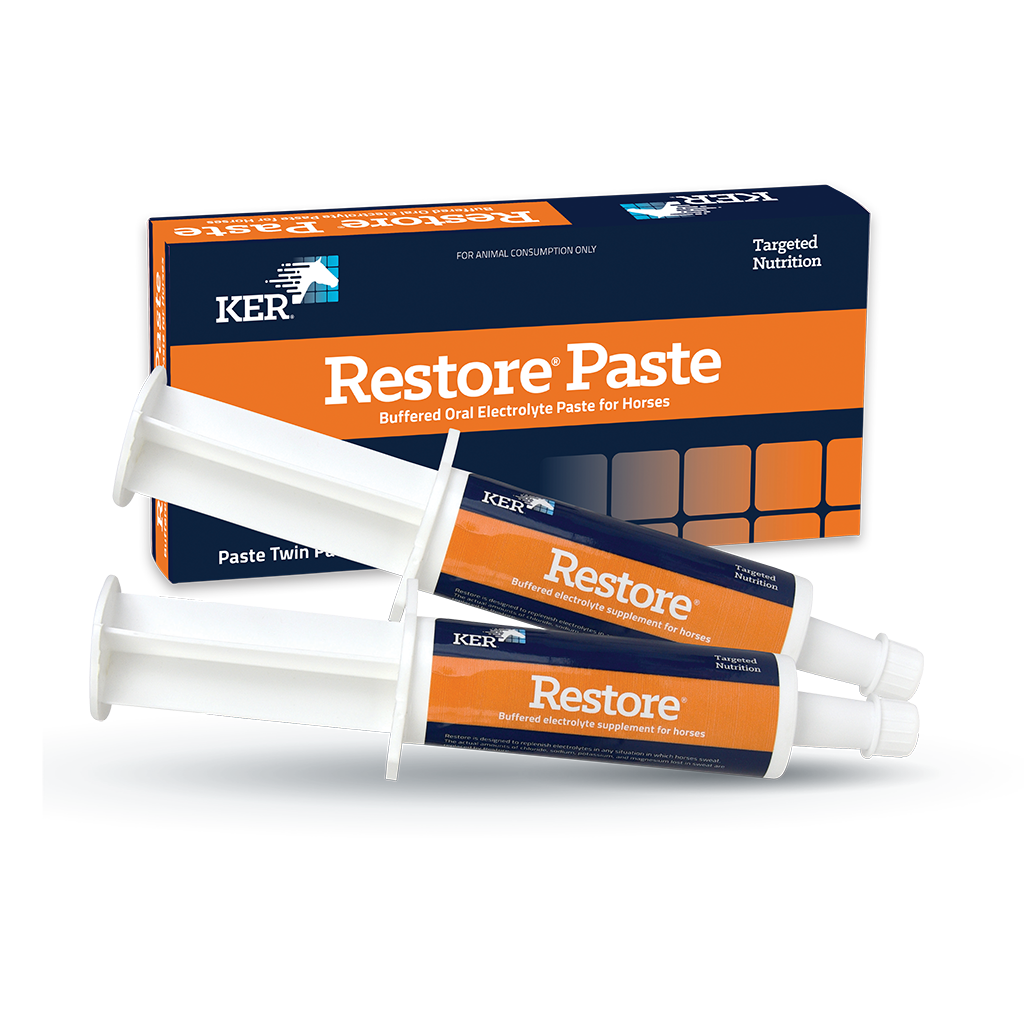 RESTORE PASTE 60G