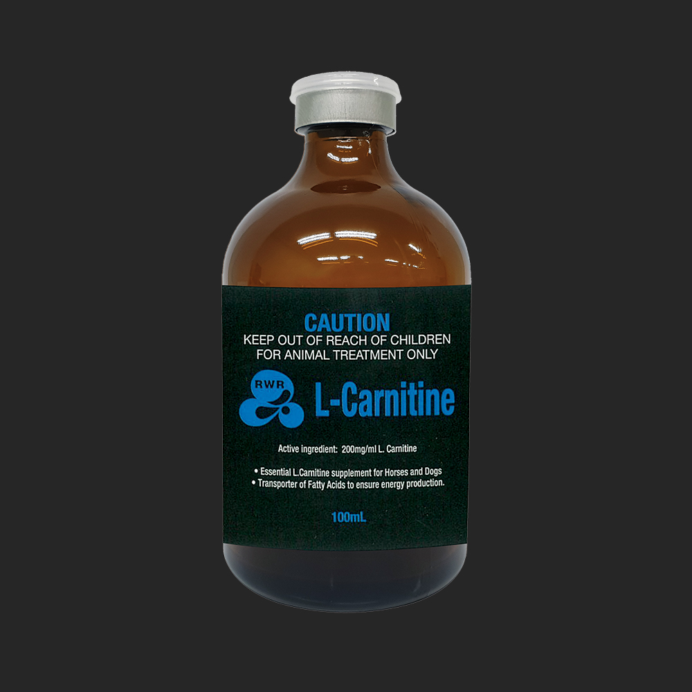 RWR L-CARNITINE 100ML