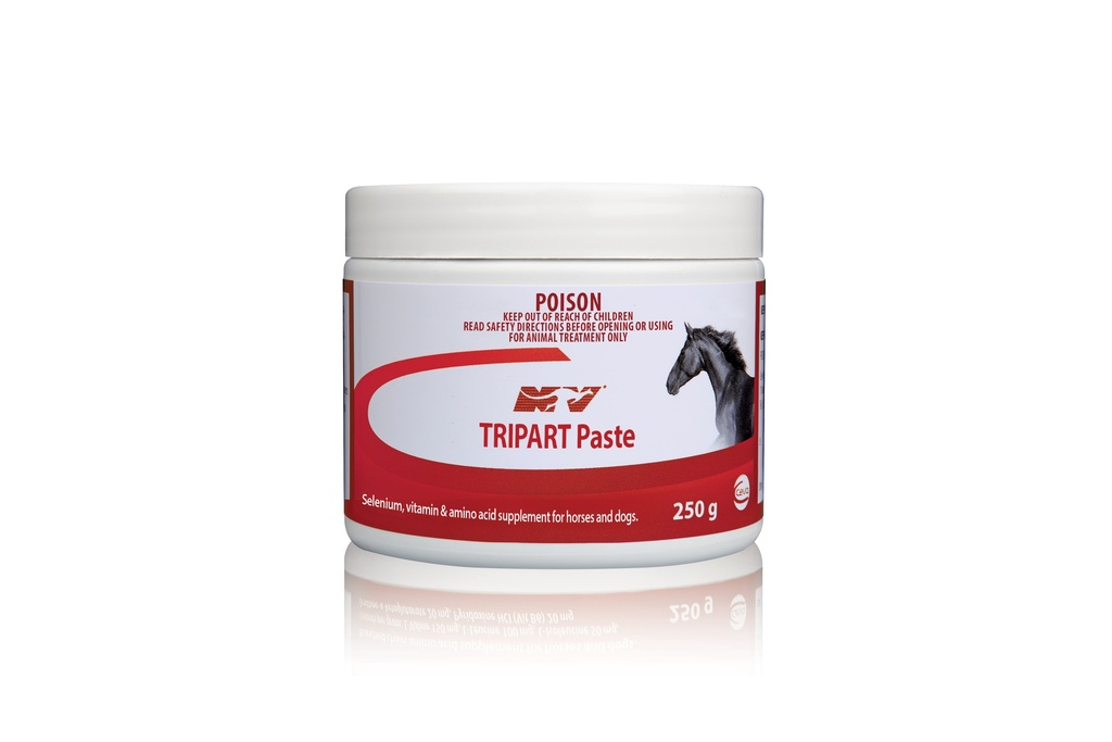 CEVA TRIPART PASTE 250G