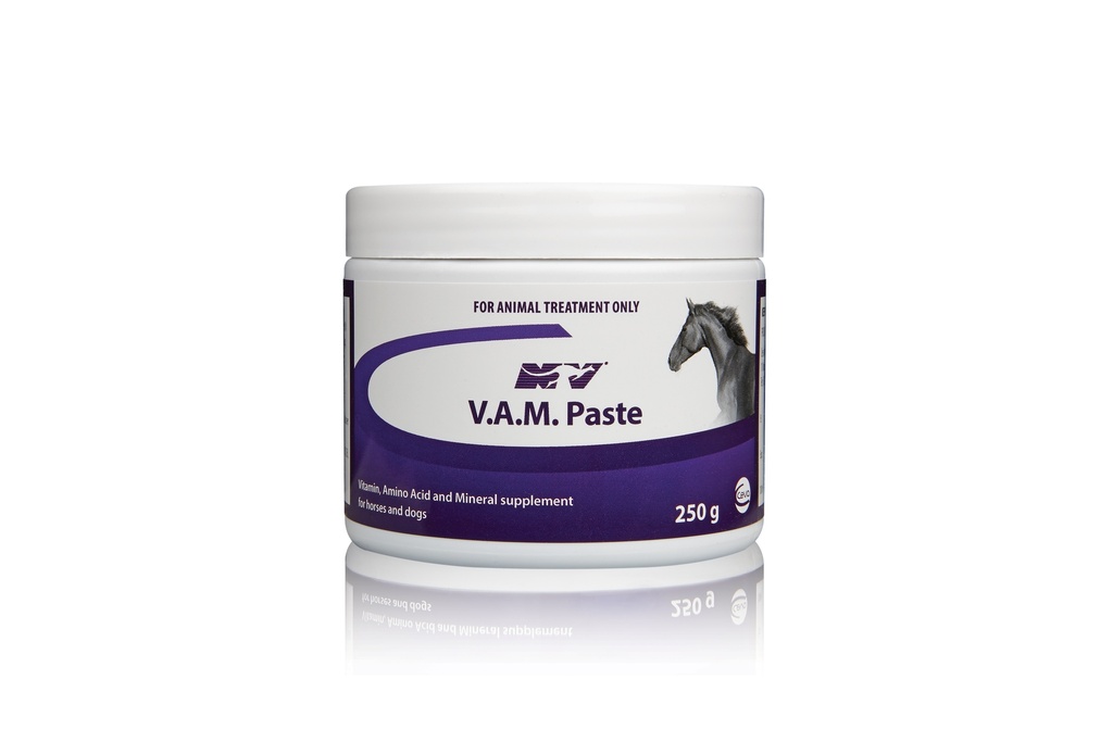 CEVA VAM PASTE 250G