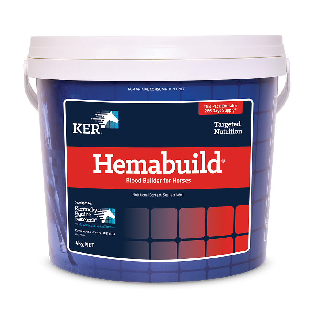 HEMABUILD