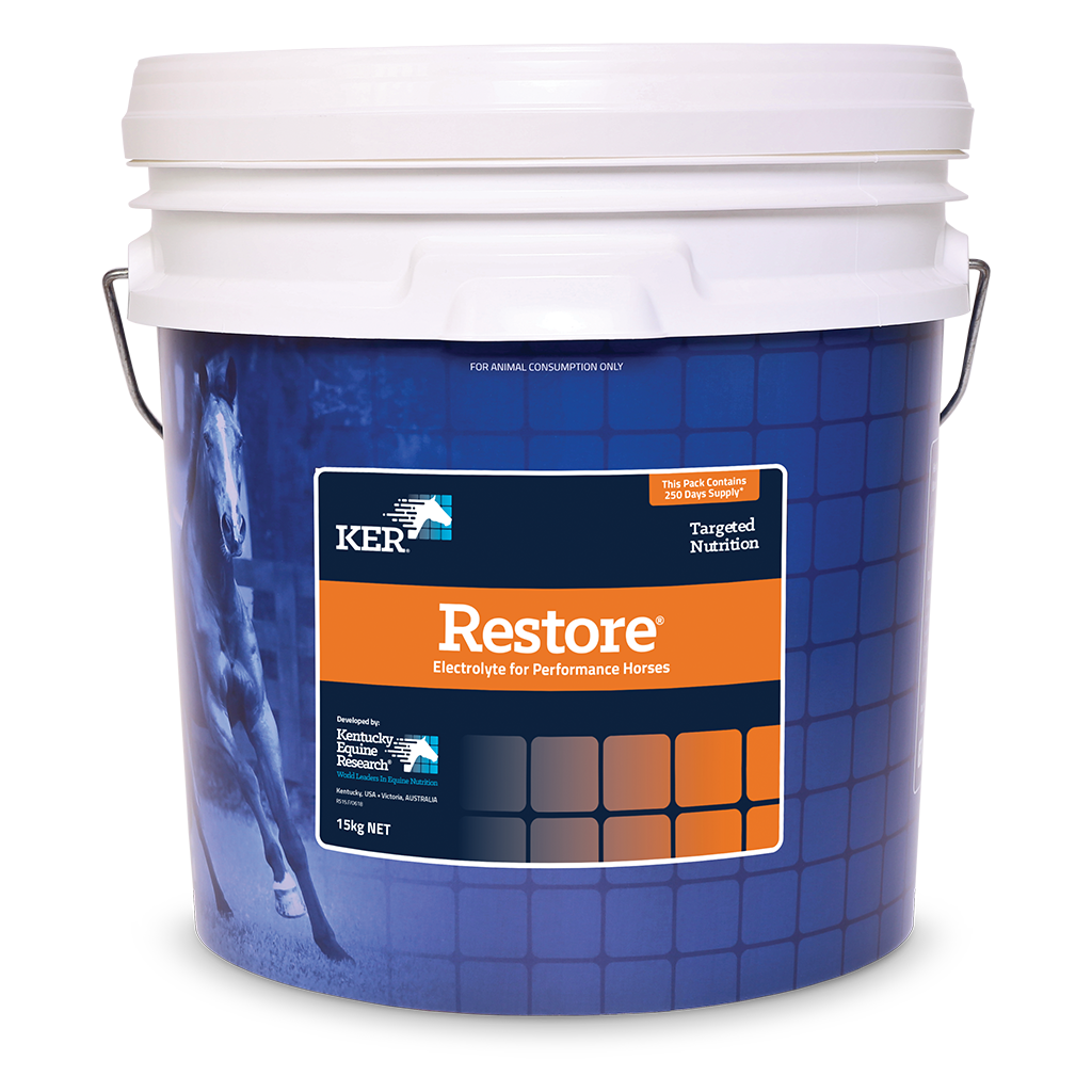 RESTORE ELECTROLYTE 20KG