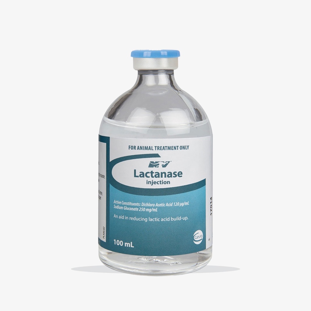 CEVA LACTANASE INJ 100ML