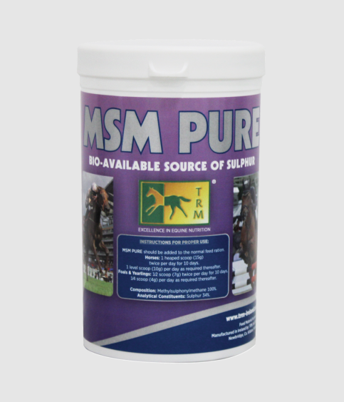 MSM POWDER 1KG