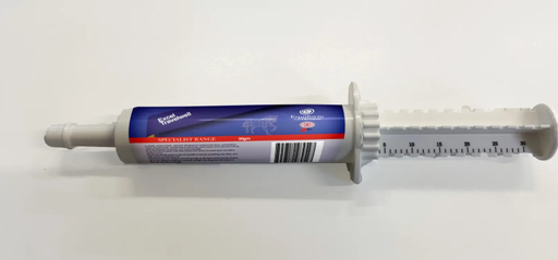 [EQF0031] EXCEL TRAVELWELL PASTE 30G                              