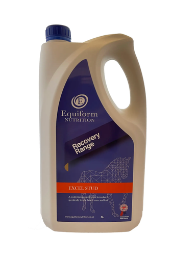 [EQF0029] EXCEL STUD 5L                            