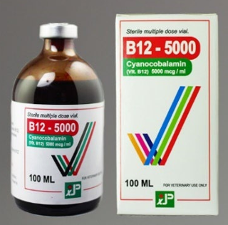 [JPM0065] B12-5000 INJ