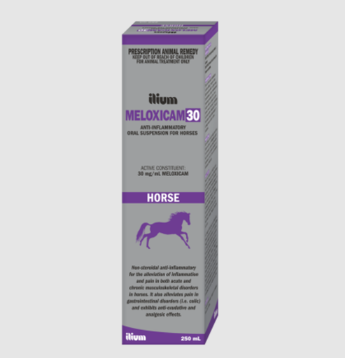 [TRY0068] MELOXICAM 30 HORSE SUSPENSION 250 ML