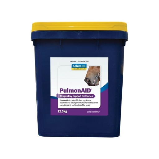 [KLT0006] PulmonAID 12.5KG